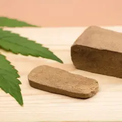 Hash - Co to jest i jak działa? Funkcje skrótu wyjaśnione