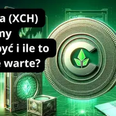 Jak kopać kryptowalutę Chia - kompleksowy poradnik dla początkujących