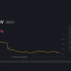 Bitcoin SV: Opinie, Kontrowersje i Analiza Potencjału Inwestycyjnego
