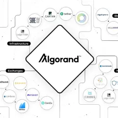 Algo DAO: Innowacyjna Organizacja w Ekosystemie Algorand