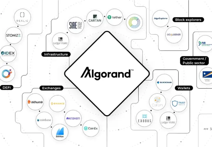 Algo DAO: Innowacyjna Organizacja w Ekosystemie Algorand