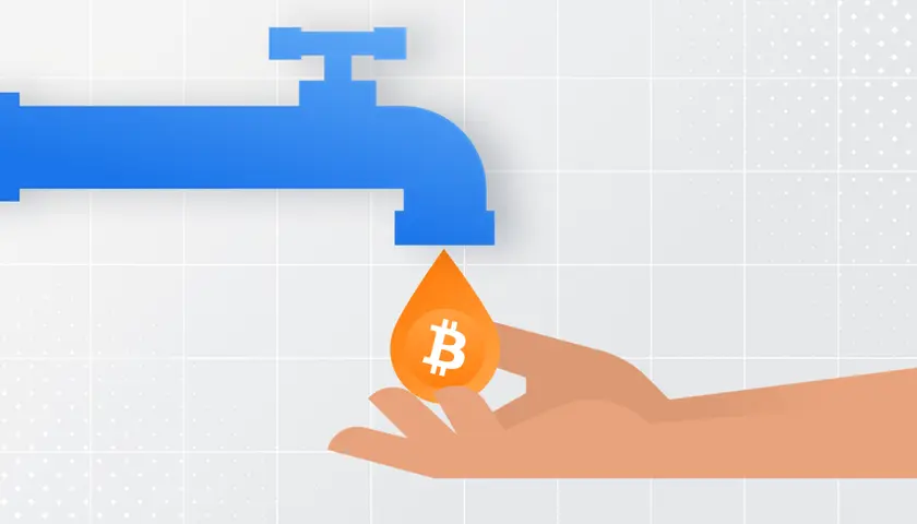Kraniki kryptowalut - Czym są? Jak działają? Czy warto?