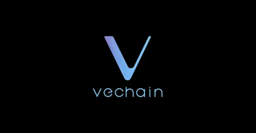 VET mining pool - kompletna instrukcja wydobywania kryptowaluty VeChain