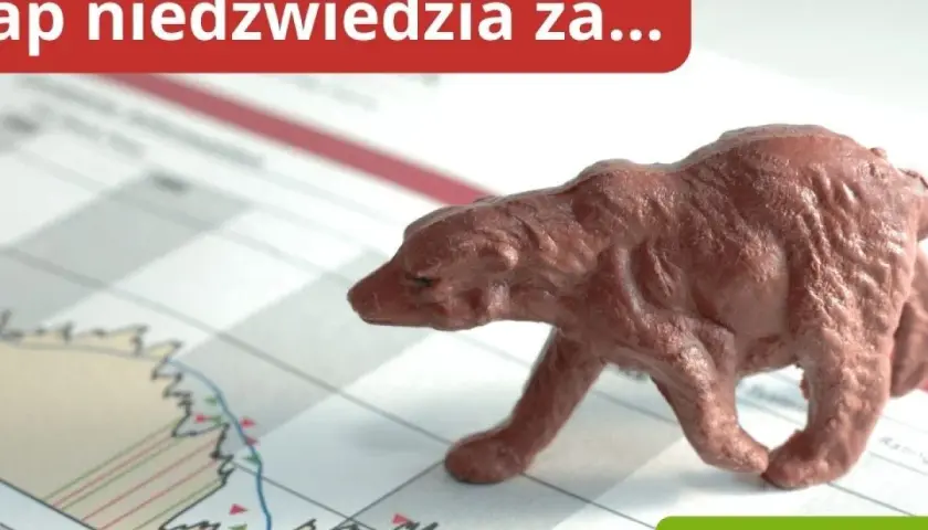 Belgijska giełda: najważniejsze informacje o rynku akcji BEL 20