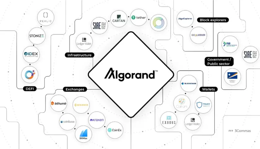 Algo DAO: Innowacyjna Organizacja w Ekosystemie Algorand