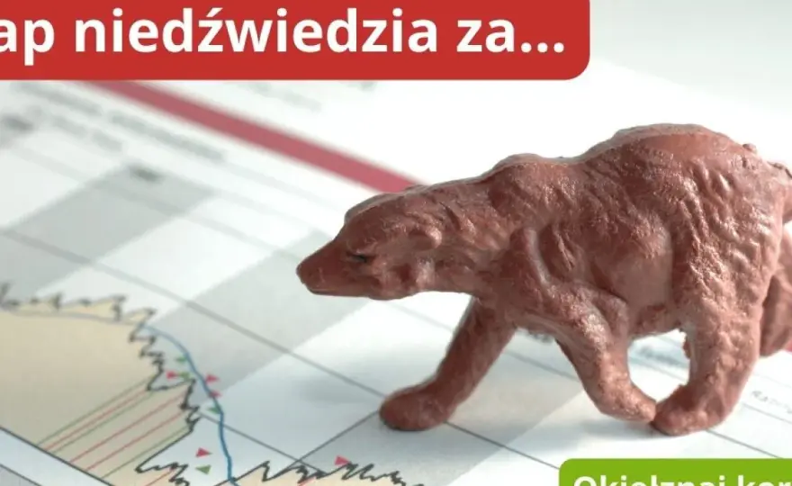 Belgijska giełda: najważniejsze informacje o rynku akcji BEL 20