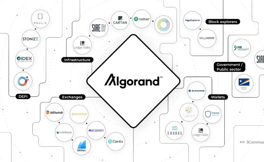 Algo DAO: Innowacyjna Organizacja w Ekosystemie Algorand